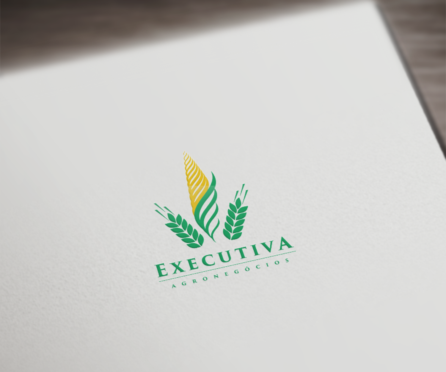 Executiva Agronegócios